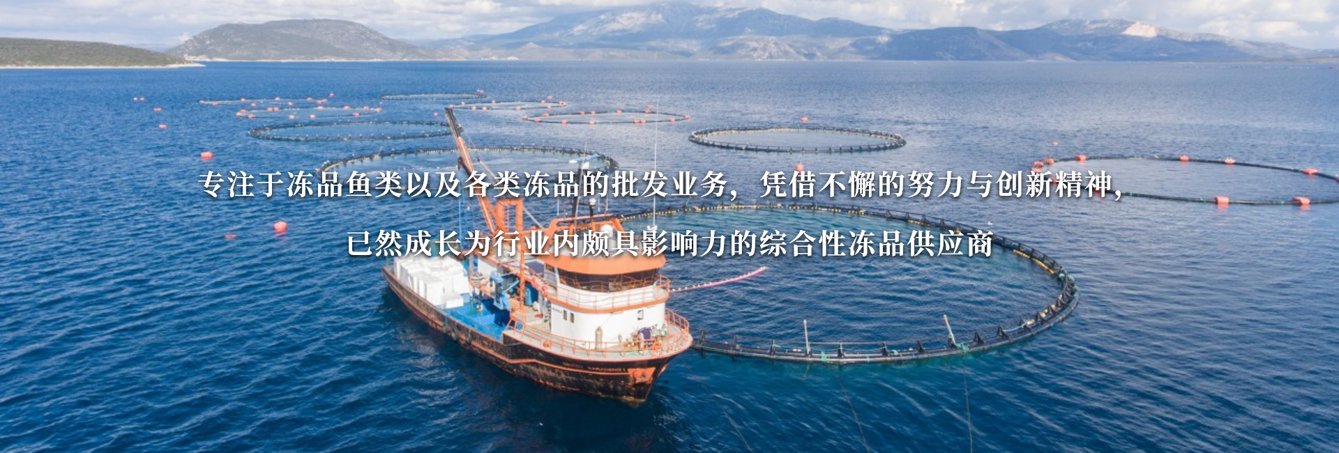 沈阳市铁西区晶晶冷冻食品经营部