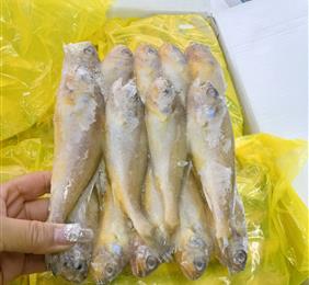 手摆晶鱼